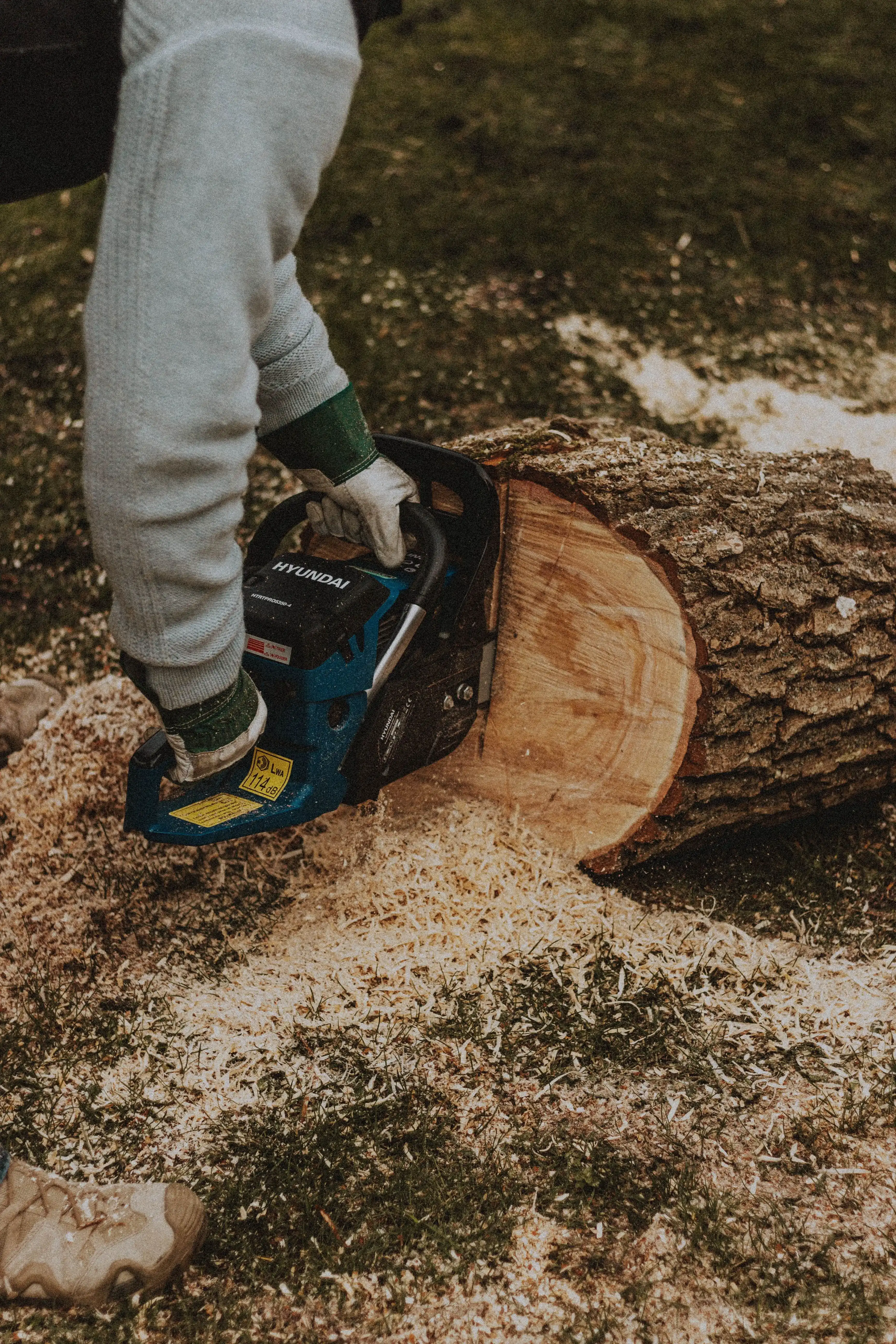 Hyundai chainsaw cutting oak log