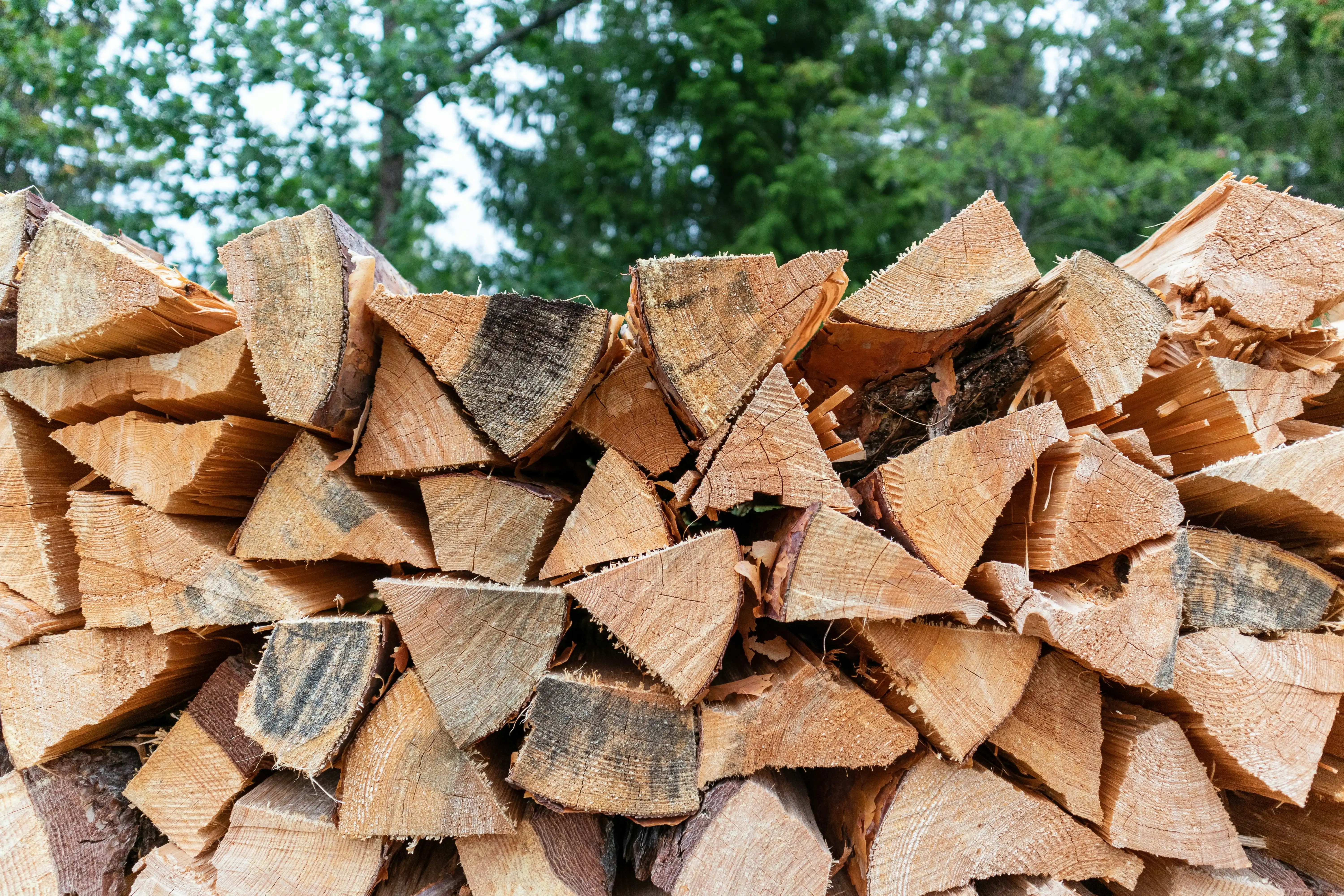 Stack of Firewood